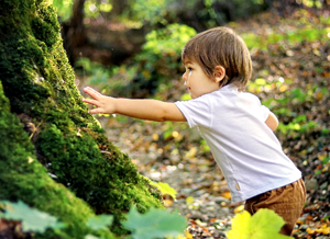 Kind im Wald möchte einen Baum anfassen