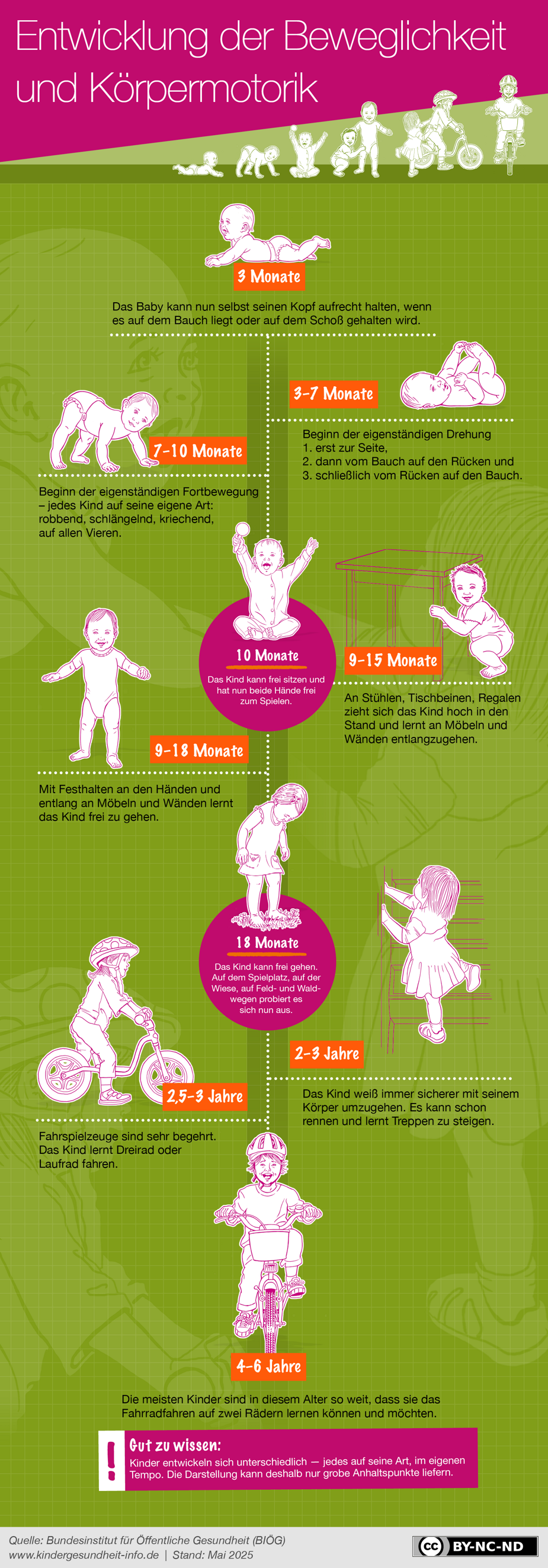 Motorische Entwicklung des Kindes Die Grafik fasst den Inhalt der Seite "Motorische Entwicklung" zusammen und bildet die Etappen der motorischen Entwicklung ab.