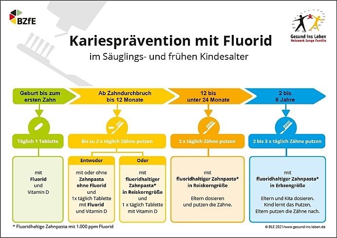 Kariesprävention mit Fluorid