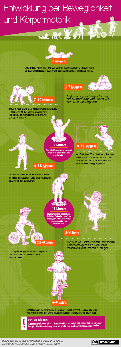 Motorische Entwicklung des Kindes Die Grafik fasst den Inhalt der Seite "Motorische Entwicklung" zusammen und bildet die Etappen der motorischen Entwicklung ab.